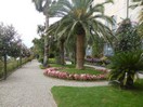 Jardin d'Isola Madre.