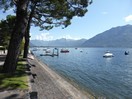 Le lac Majeur à Muralto, commune suisse située dans le district de Locarno.
