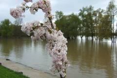 Crue de la Loire à La Charité/Loire