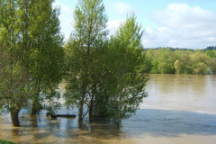 Crue de la Loire à Briare