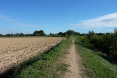 Le chemin du grand Teillan