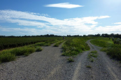 Chemin la petite Viguière