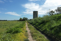 La tour après le mas