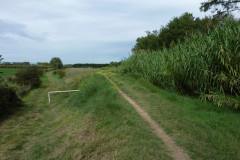 Prendre le chemin sur la digue