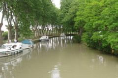 Les berges à Capestang