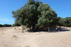 le site archéologique de Filitosa