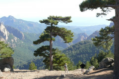 Le col de Bavella situé dans le Parc Naturel Régional de Corse