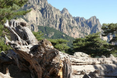 Le col de Bavella