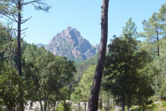 Col de Larone