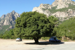 Col de Larone