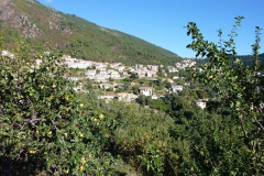 Village de Venaco