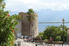 Calvi