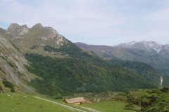 En roure vers le col de l’Aubisque