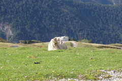 Col de l’Aubisque