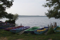 Berges du lac de Léon