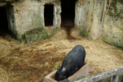 Ferme-troglodytique-des-Goupillières