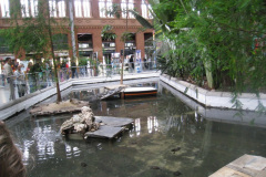 La gare d’Atocha