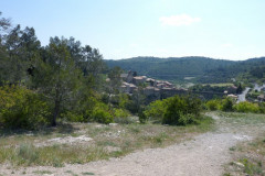 Minerve