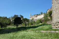 Minerve