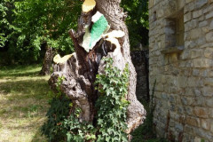 Le hameau de Navacelles