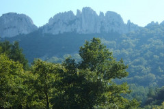 Les Dentelles de Montmirail