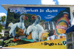 La Bourbon, communément appelée Dodo, est une bière blonde