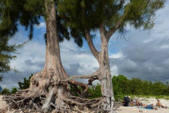 La plage de Boucan-Canot