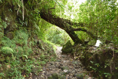 Un sentier long et abrupt qui conduit vers les cascades et le barrage