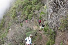 En route pour Roche Plate (Mafate)