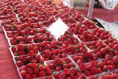 Le marché forain de Saint-Paul