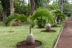 Jardin de l'État à Saint-Denis