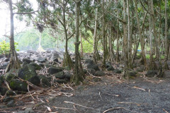 Anse des cascades