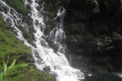 La cascade Langevin