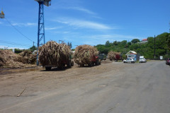 L'usine de stockage de canne à sucre