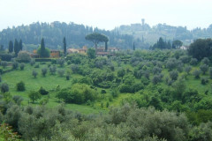 Vue depuis le jardin de Boboli