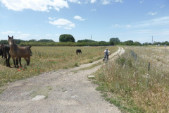 Tourner à droite sur le chemin après le passage à niveau et poursuivre tout droit