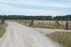 Continuer sur le chemin