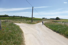 Chemin menant au mas du Petit Bourry