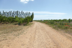 Chemin en direction de la bâtisse Scamandre