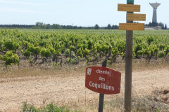 Prendre à droite chemin des Coquillons