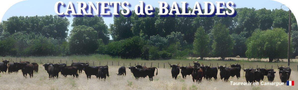 Carnets de balades 2025