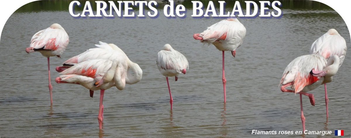 Carnets de balades 2025