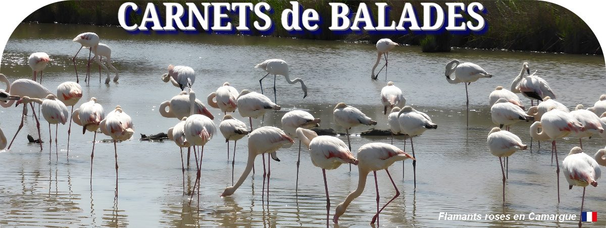 Carnets de balades 2025